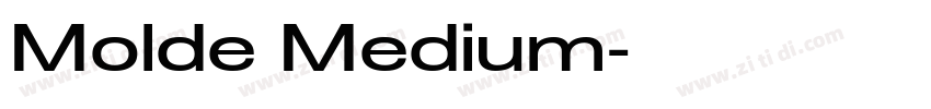 Molde Medium字体转换